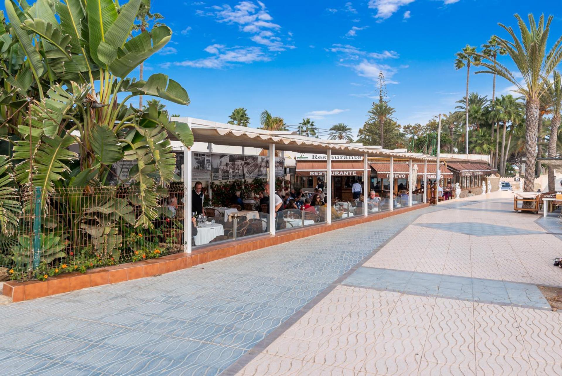 Buganvillas 6 *