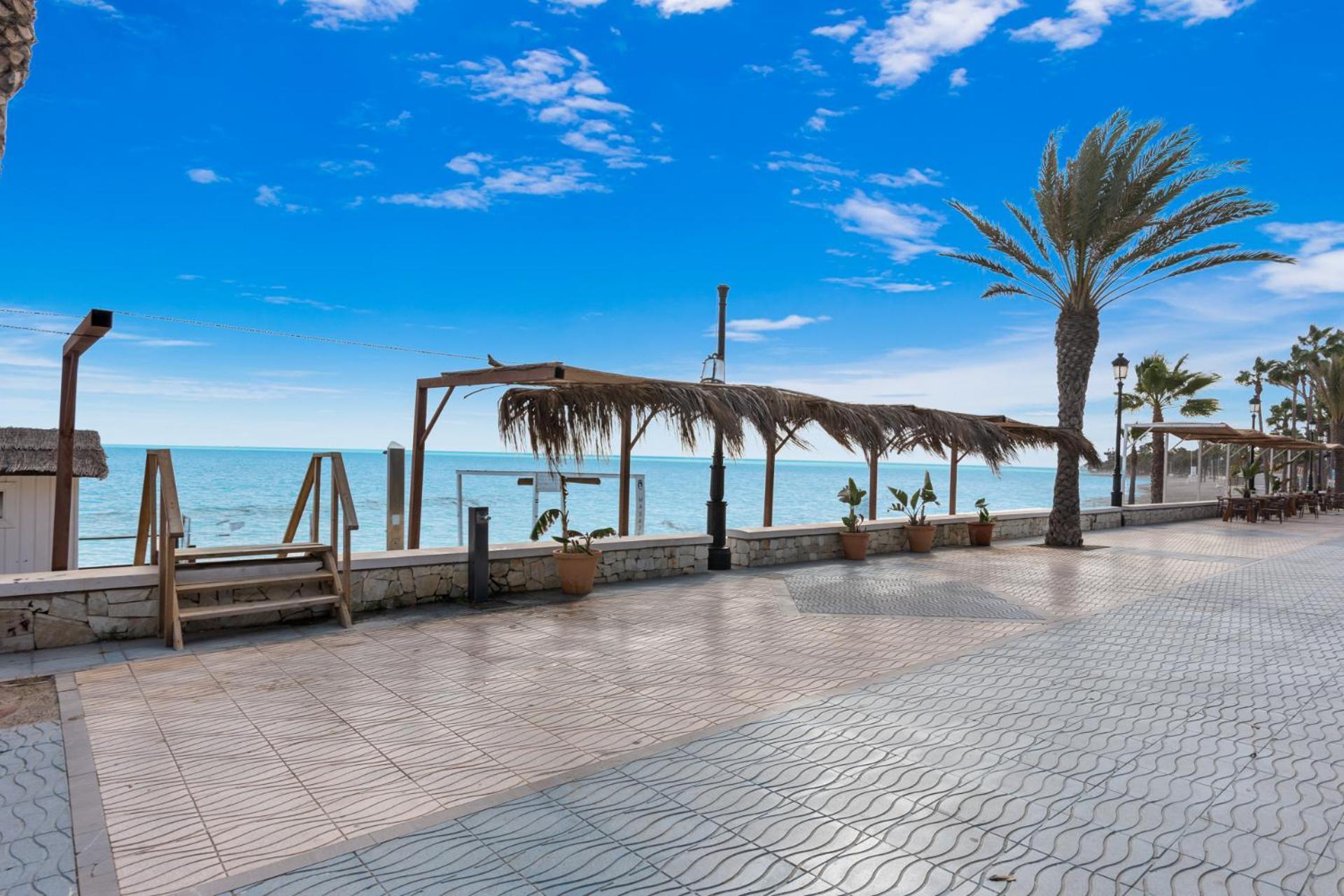 Buganvillas 6 *